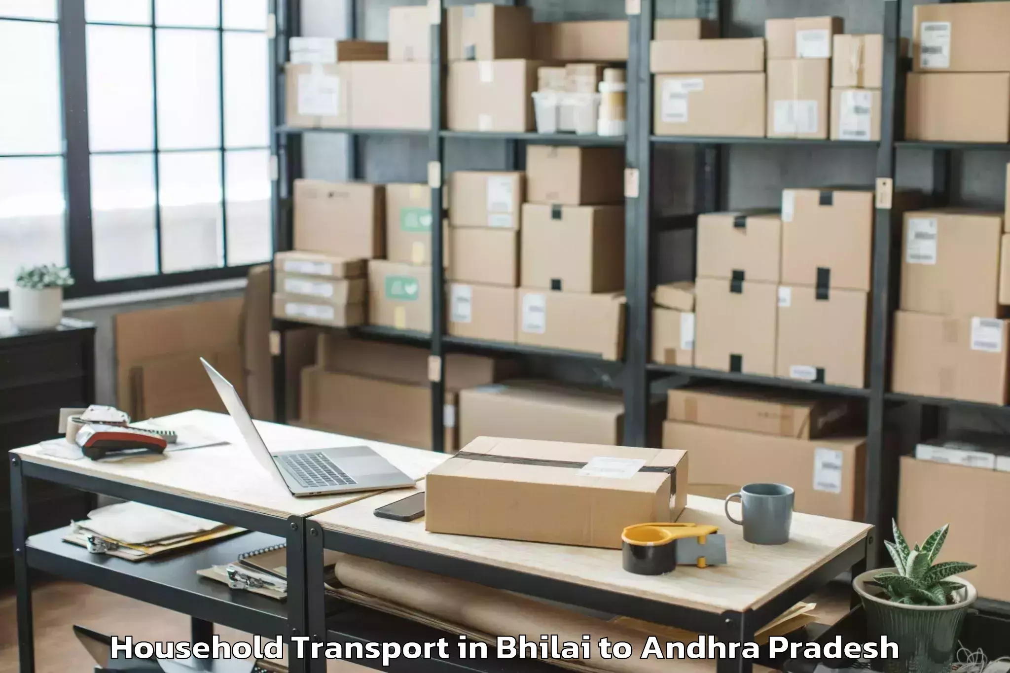 Professional Bhilai to Peddapappur Household Transport